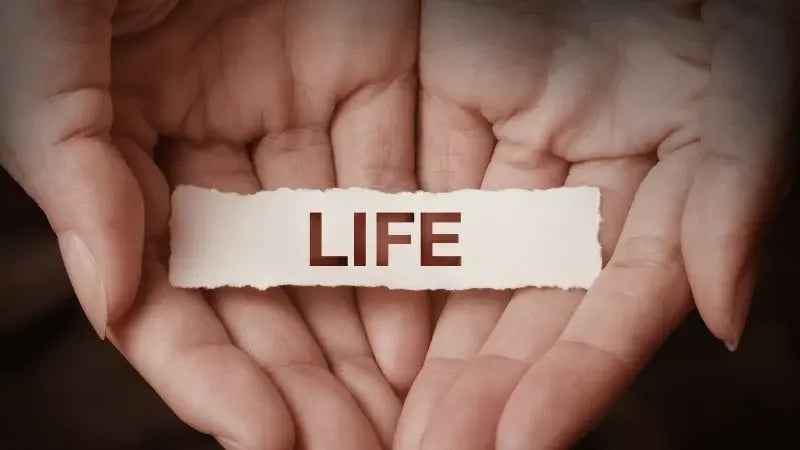 From Real Lives to Reel Stories: The Crucial Role of Life Rights in Film