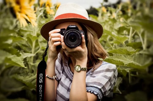 The Best Cameras for Content Creators Under $1,000  